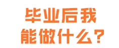 毕业后我能做什么