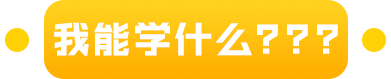 我能学什么