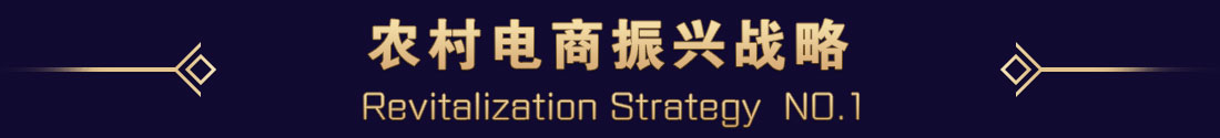 农村电商振兴战略