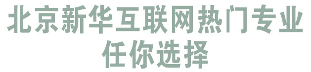北京新华互联网热门专业