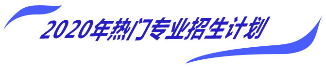 2020年热门专业招生计划