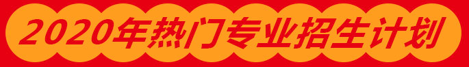2020年热门专业招生计划