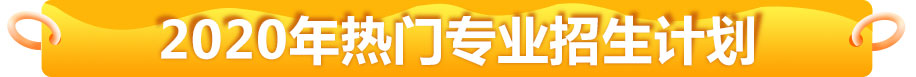 2020年热门专业招生计划