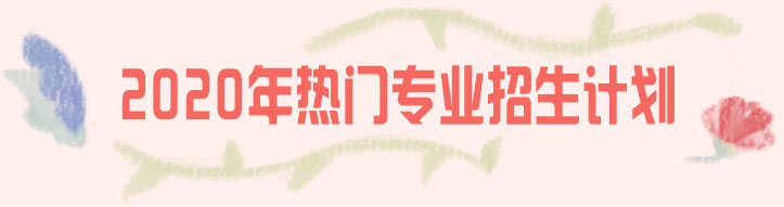 2020年热门专业招生计划