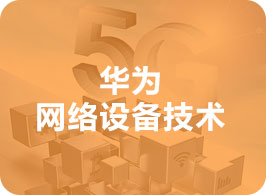 华为网络设备技术