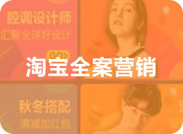 淘宝全案营销