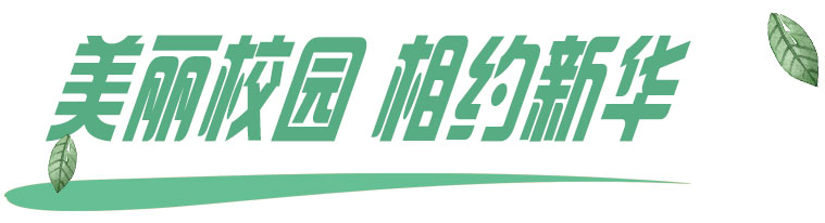 美丽校园