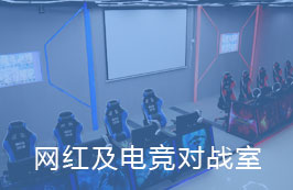 网红及电竞对战室