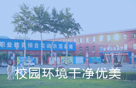校园环境干净优美