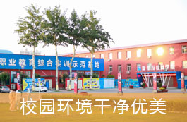 校园环境干净优美