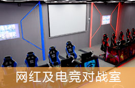 网红及电竞对战室