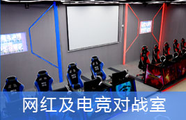 网红及电竞对战室