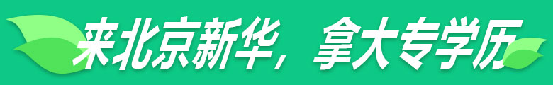 技能+学历