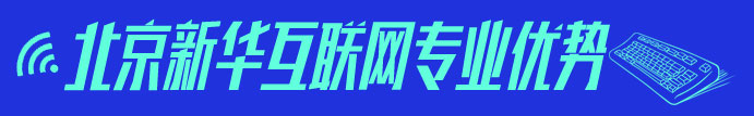 北京新华互联网专业优势