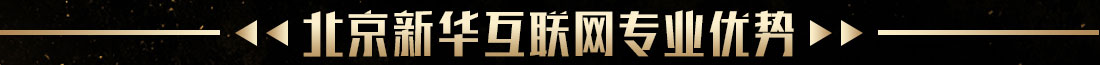 北京新华互联网专业优势