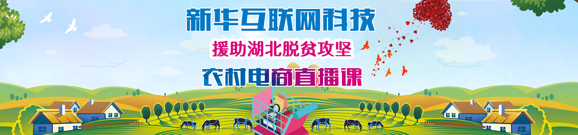 新华互联网科技_农村电商直播课